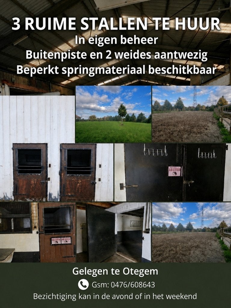3 écuries spacieuses à louer à Otegem — Inhouse, Mise à l'étable, 2 ou 3 chevaux ou poneys