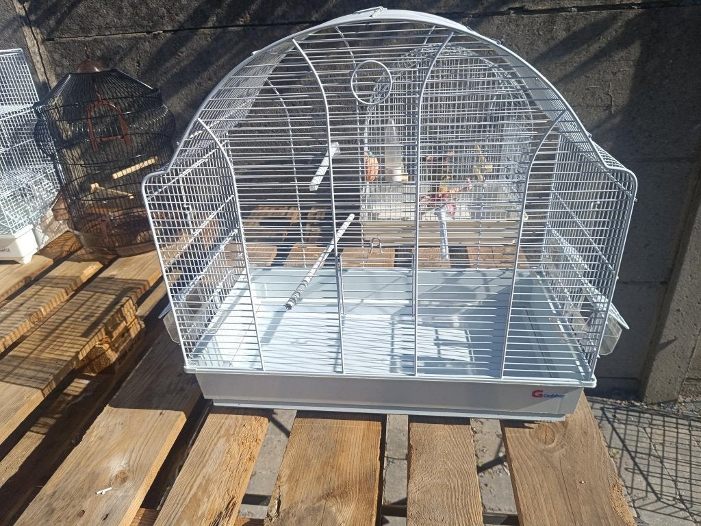 vogelkooi nieuw, Ophalen, Nieuw, Metaal, Vogelkooi
