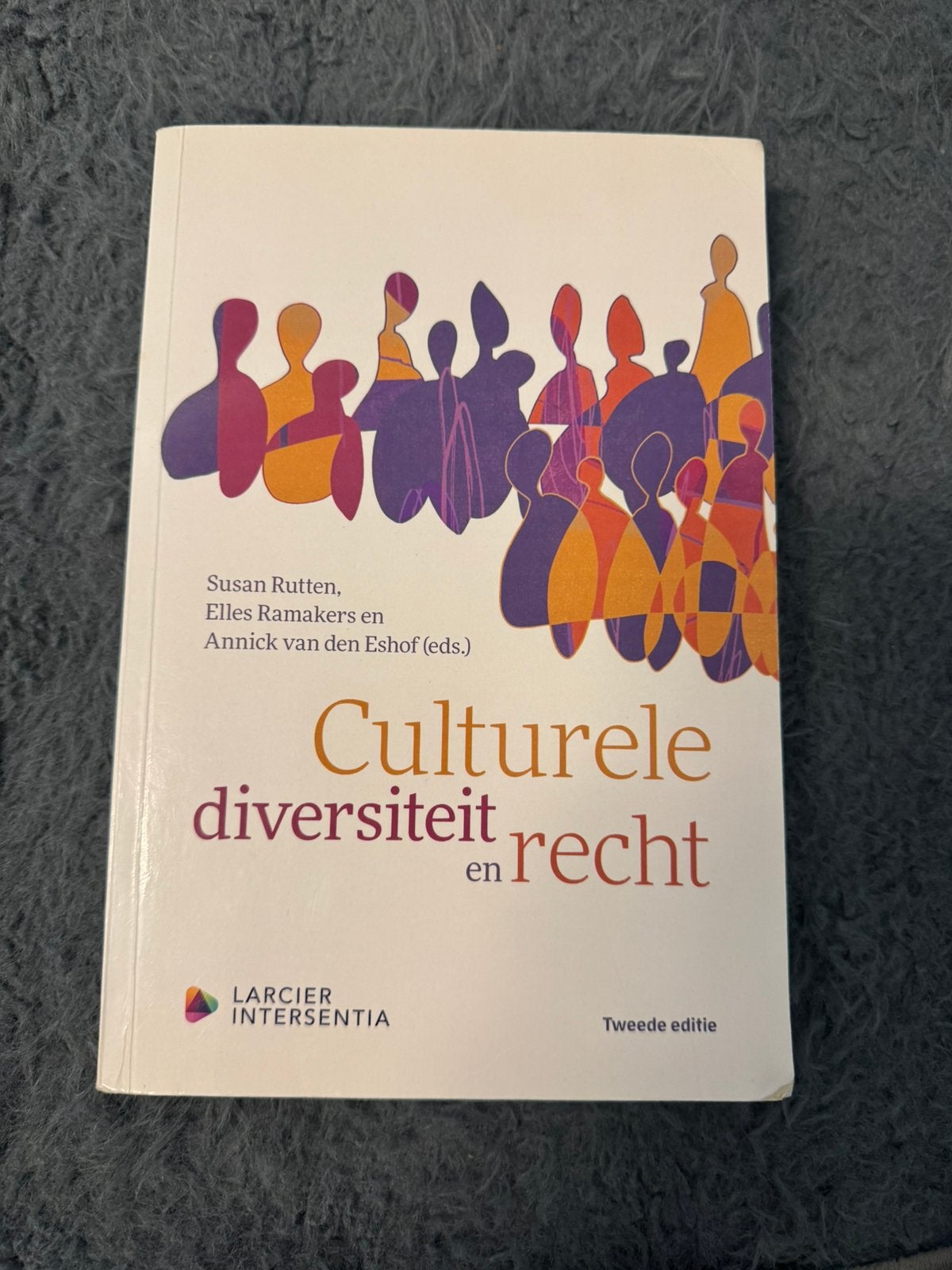 Susan Rutten - Culturele diversiteit en recht, Boeken, Studieboeken en Cursussen, Ophalen of Verzenden, Nieuw, Hoger Onderwijs