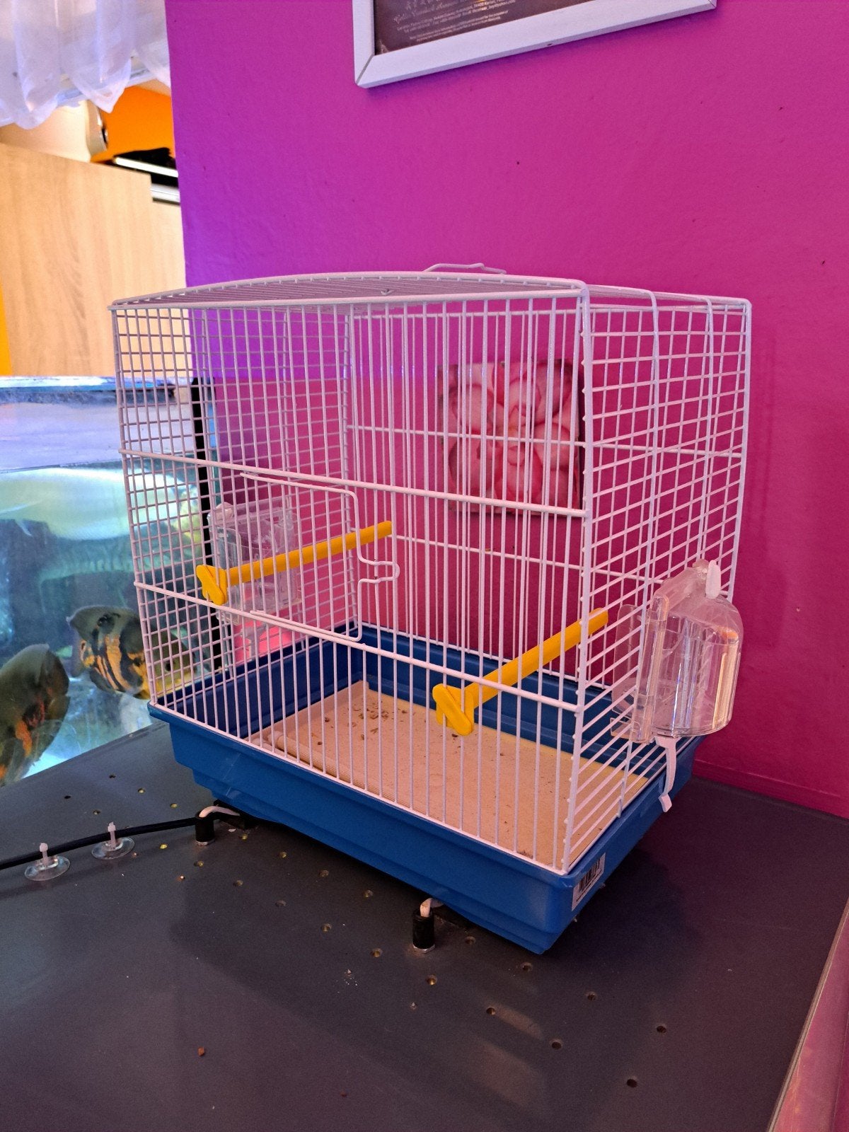 Cage a canaris complete  de 39cm.de haut sur 22cm, Enlèvement, Utilisé, Métal, Cage à oiseaux