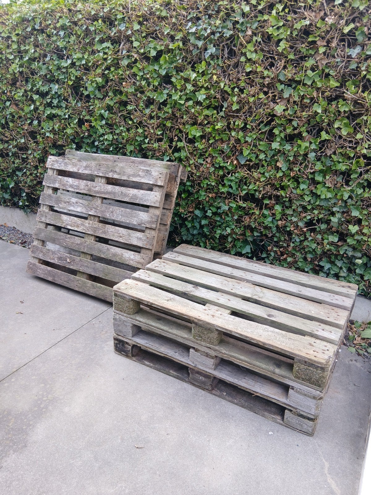 5 houten paletten waaronder 3 europaletten, Doe-het-zelf en Bouw, Ophalen, Gebruikt, Pallet