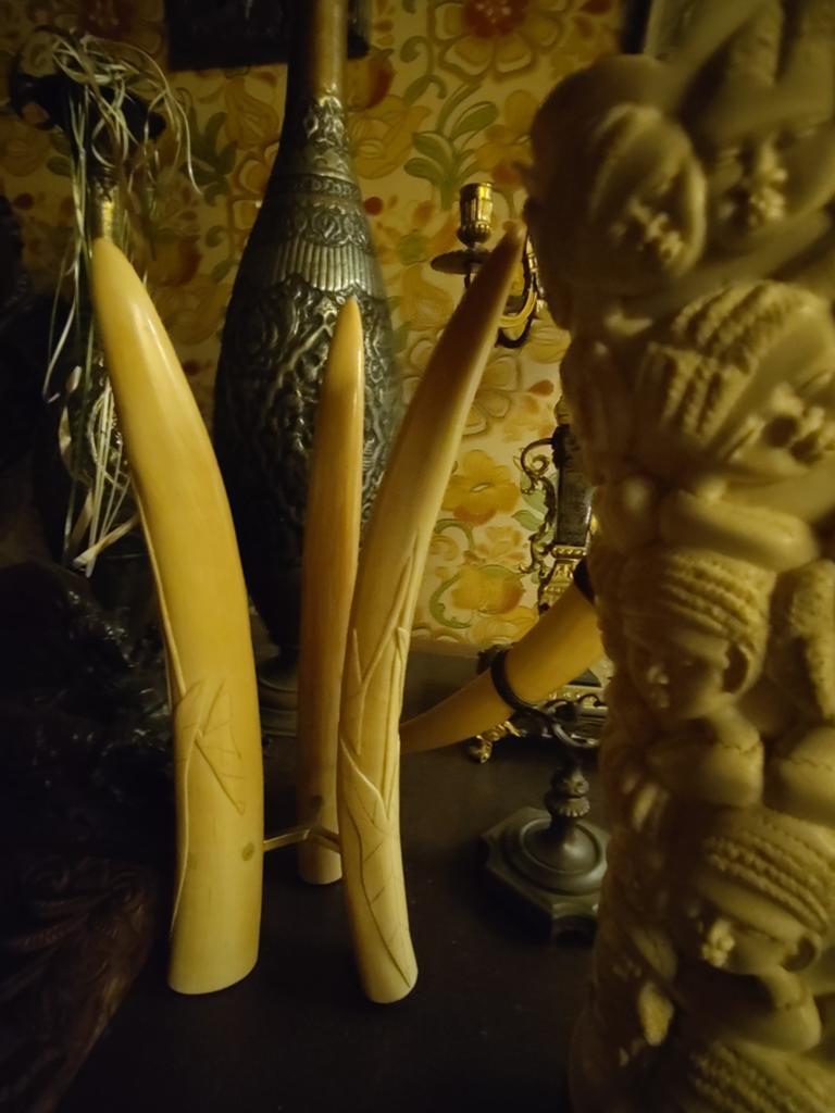 Set slagtandvormige decorstukken, Antiek en Kunst, Curiosa en Brocante, Ophalen