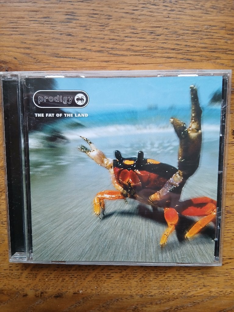 CD Prodigy : Fat Of The Land, Cd's en Dvd's, Ophalen