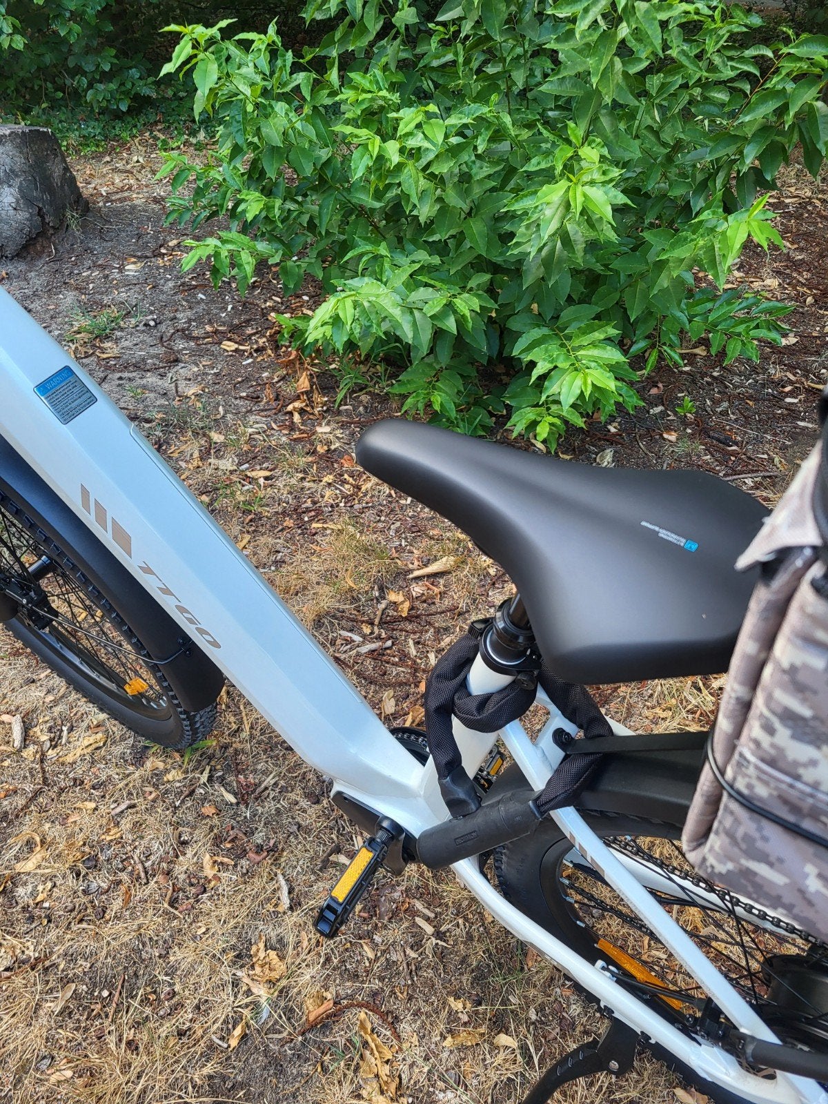 Elektrische  damesfiets  TTGO Z3, Ophalen