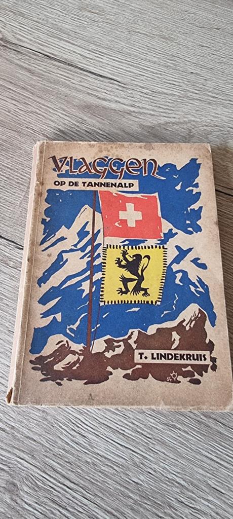 Vintage jeugdboek Vlaggen op de Tannenalp, Ophalen of Verzenden