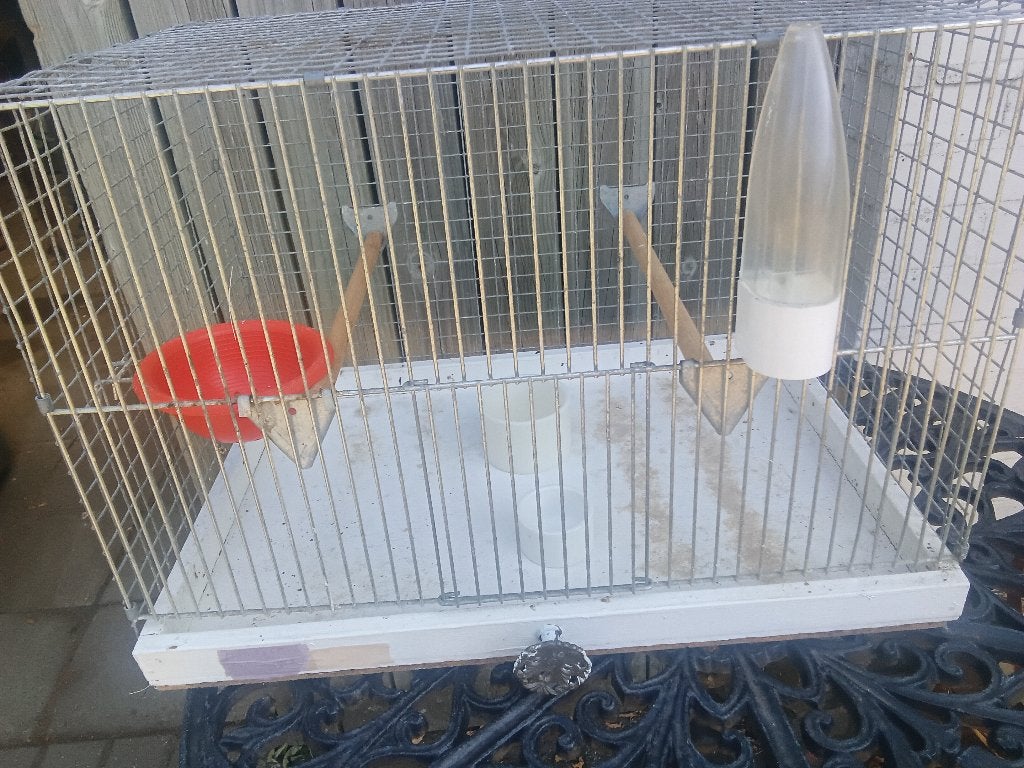 Kweekbakken, Animaux & Accessoires, Oiseaux | Canaris
