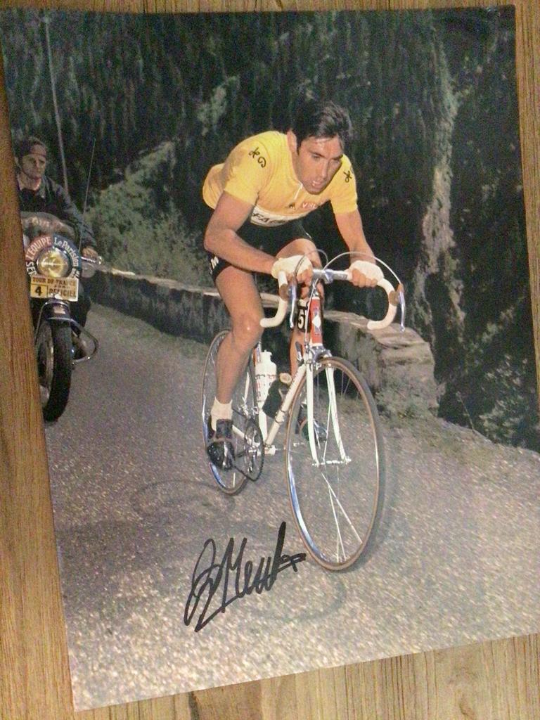 wielerposter 1969 team faema eddy merckx signe, Envoi, Comme neuf