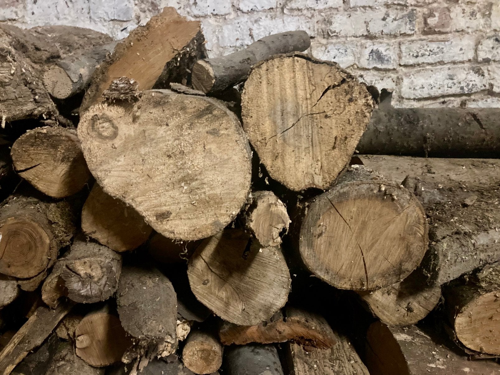 Bois de chauffage 3 steres - 50 cm  /+ 3 ans de séchage, Jardin & Terrasse, Moins de 3 m³, Enlèvement, Hêtre, Bûches