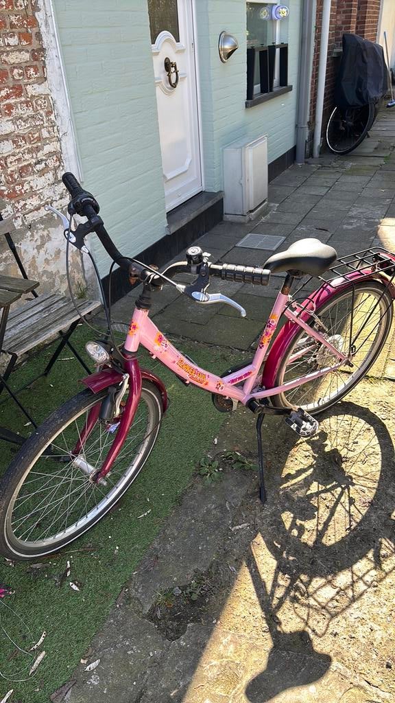 Meisjes fiets, Enlèvement, Utilisé, Vitesses