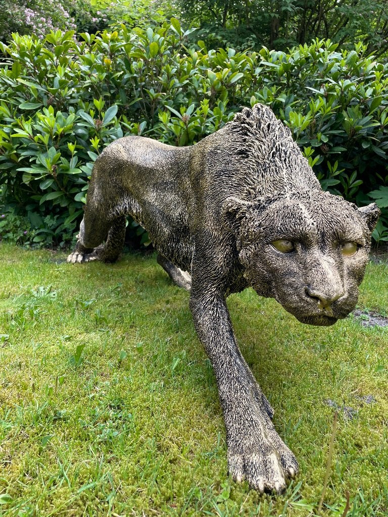 Beeld Panter sluipend gazon, tuin, dierentuin, 125 cm, Ophalen, Nieuw, Kunststof, Dierenbeeld