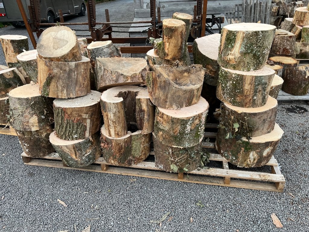 Brandhout gezaagd op 33, Enlèvement, Troncs d'arbres