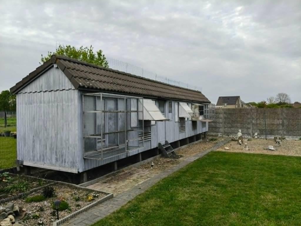 Duivenhok, Dieren en Toebehoren, Ophalen, Gebruikt, Hout, Overige typen