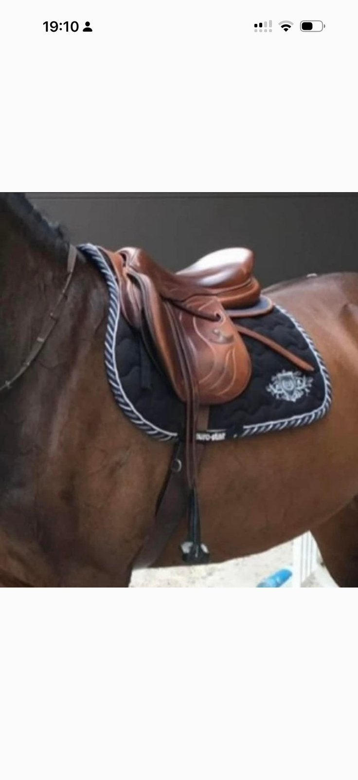Bruno Delgrange Doublée (kalfsleer) springzadel, Dieren en Toebehoren, Ophalen, L (17.5 inch), Gebruikt, Overige merken
