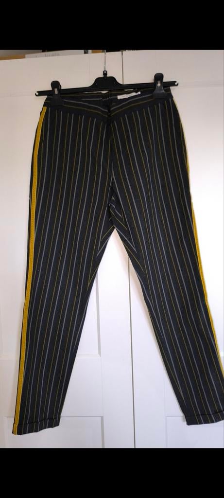 Nieuwe broek Hampton bays 36, Ophalen of Verzenden