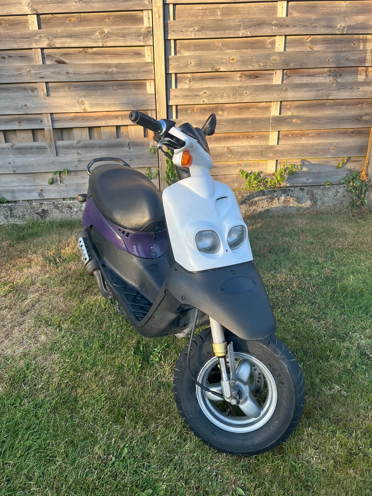 Peugeot squab, Fietsen en Brommers, Scooters | Peugeot, Ophalen, Tweetakt, Gebruikt, Overige modellen