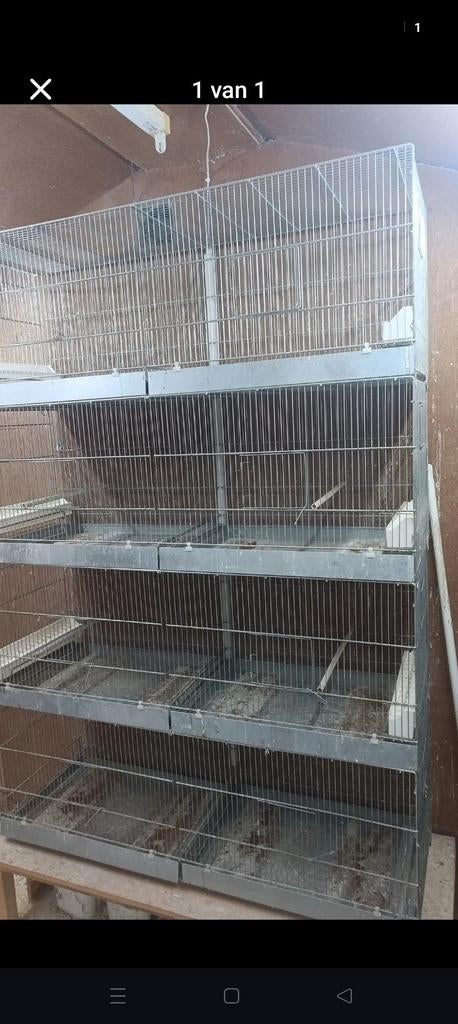 Italiaanse draadkooien/ vogelkooien, Dieren en Toebehoren, Ophalen
