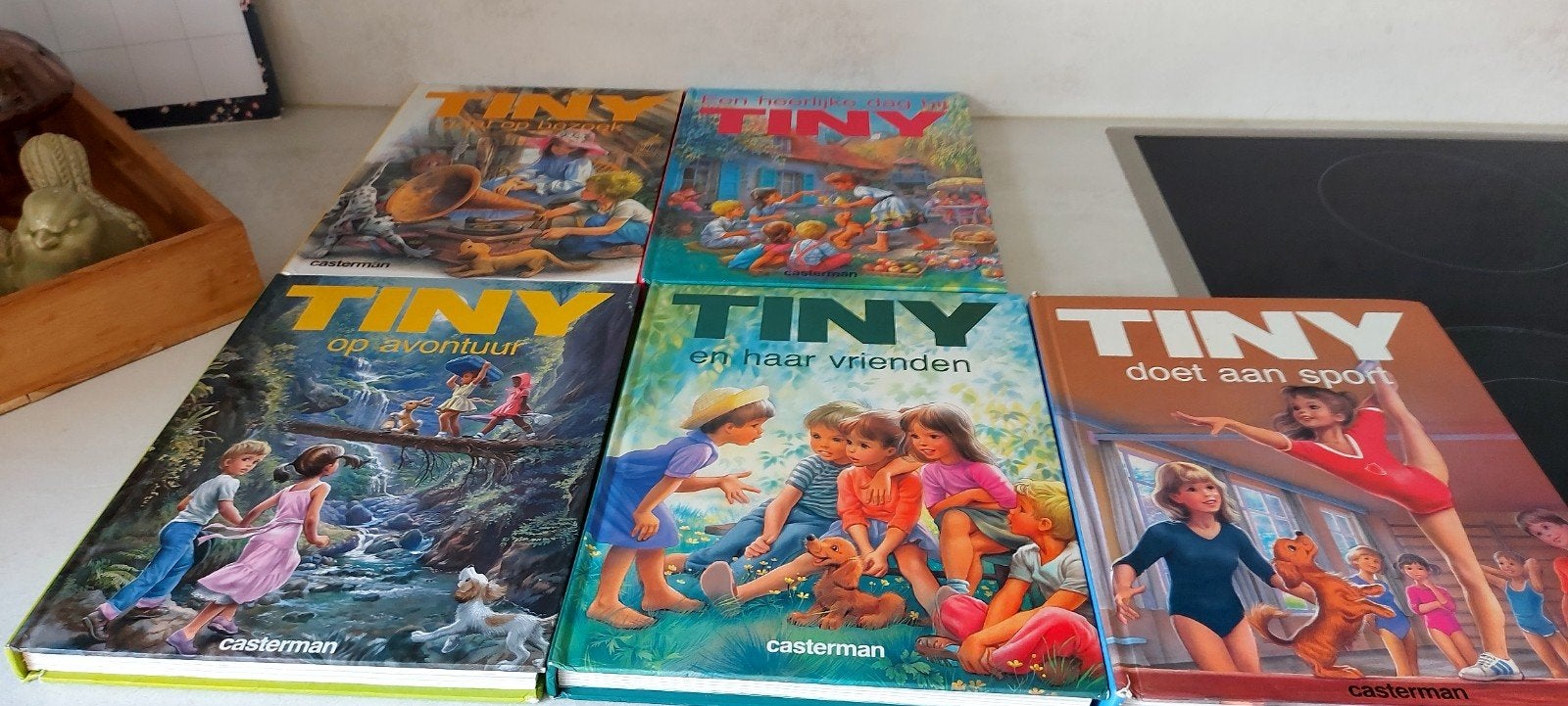 tiny boeken, Ophalen of Verzenden