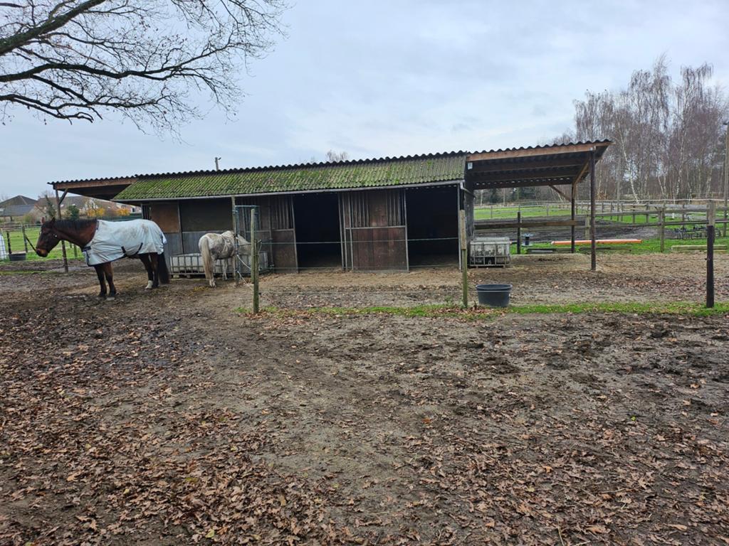 Stal met weide., Dieren en Toebehoren, Stalling en Weidegang
