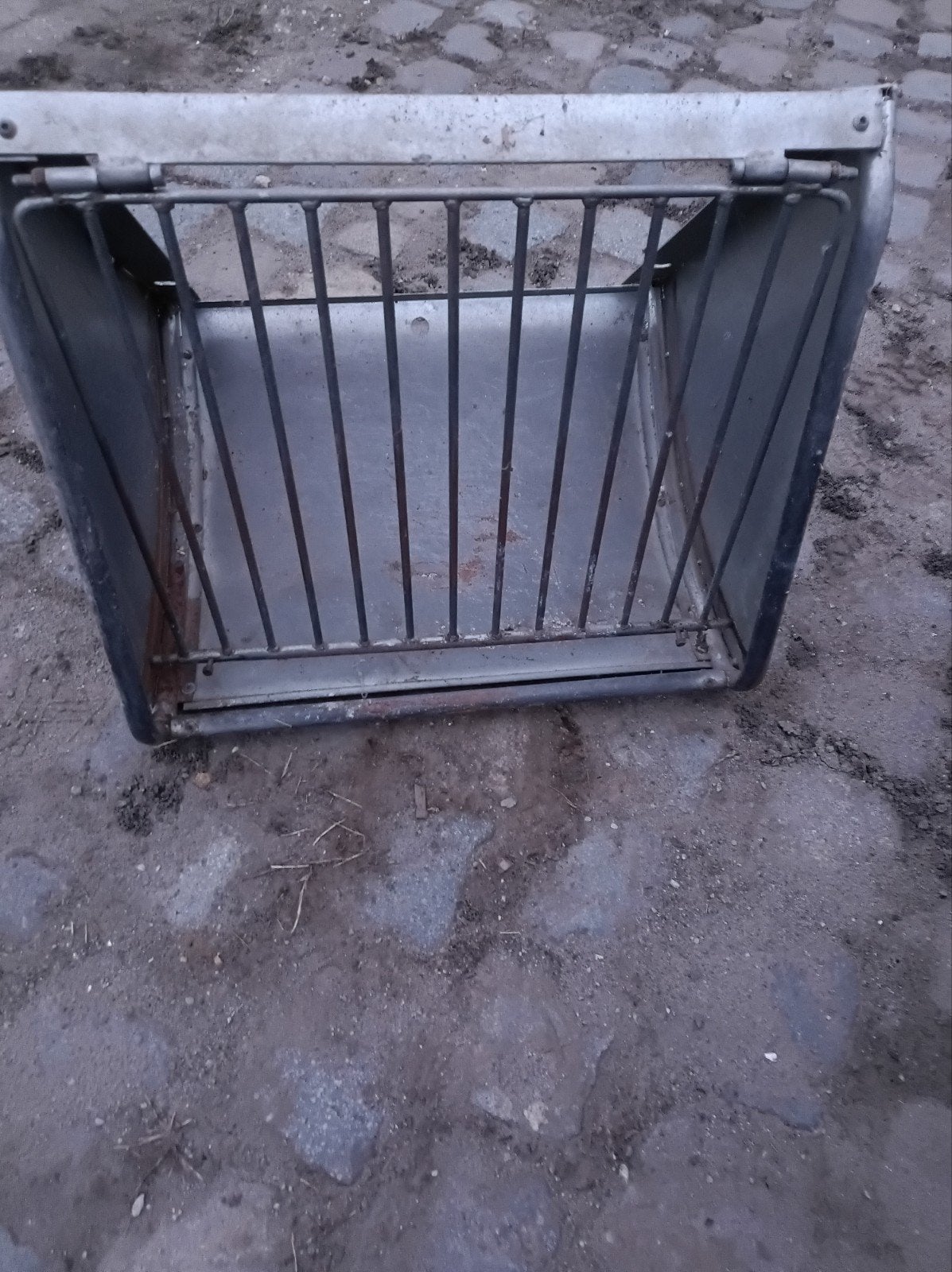 slowfeeder, Dieren en Toebehoren