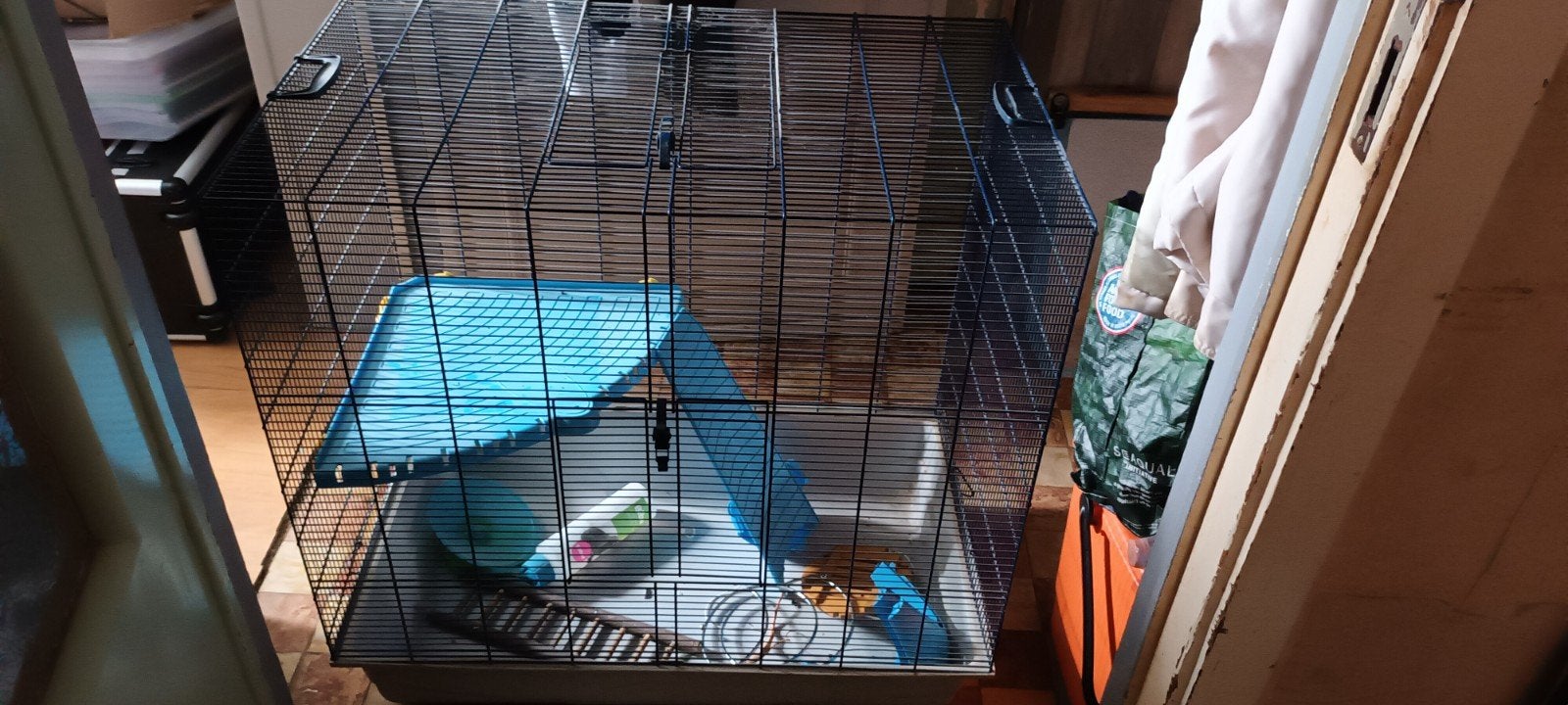 Cage pour petits rongeurs,  rats , furets en bon état, Comme neuf, Cage