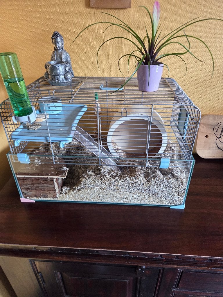 Belle cage sur 2 étages comme neuve, Animaux & Accessoires, Neuf, Souris, Cage, 60 à 90 cm