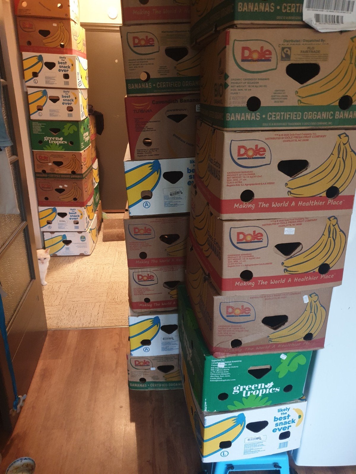 boîte à cartons, Ophalen, Doos