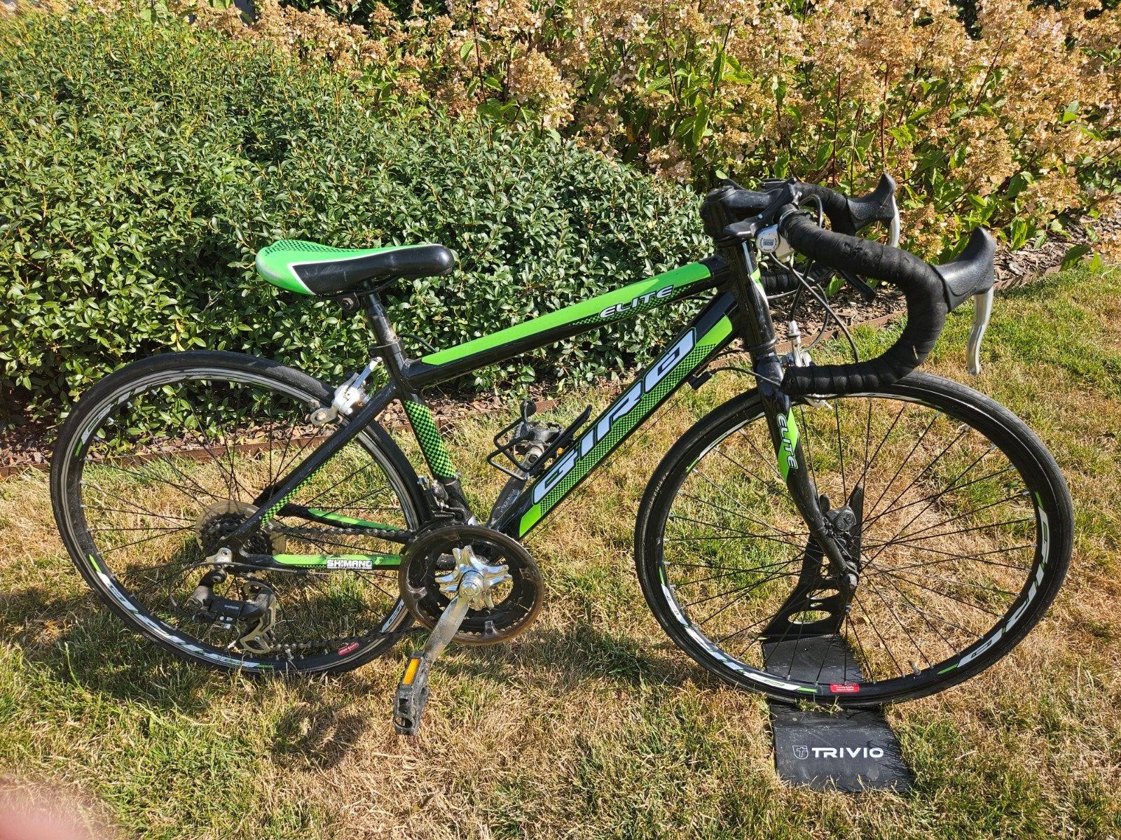 koersfiets GIRO, Fietsen en Brommers, Fietsen | Racefietsen, Ophalen