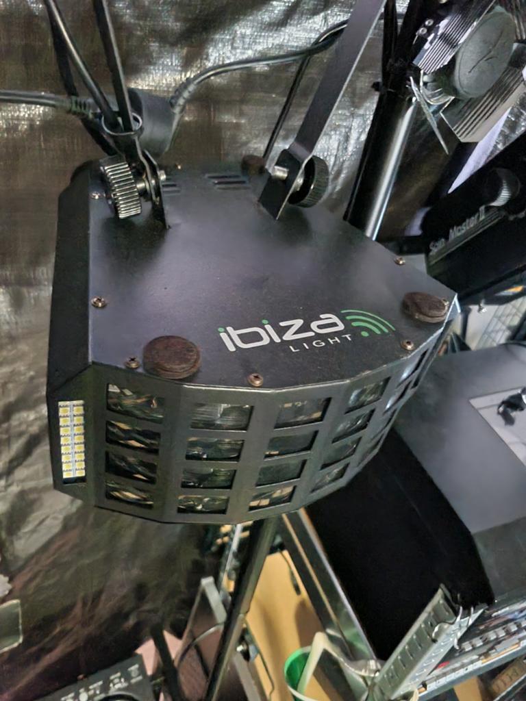 Ibiza Fury Strobe : lampe 2 en 1, Musique & Instruments, Lumières & Lasers, Enlèvement, Lumières