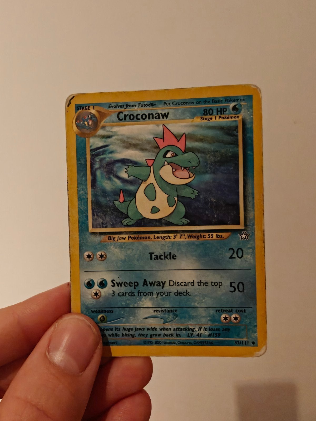 Croconaw Neo Genesis, Hobby en Vrije tijd, Ophalen