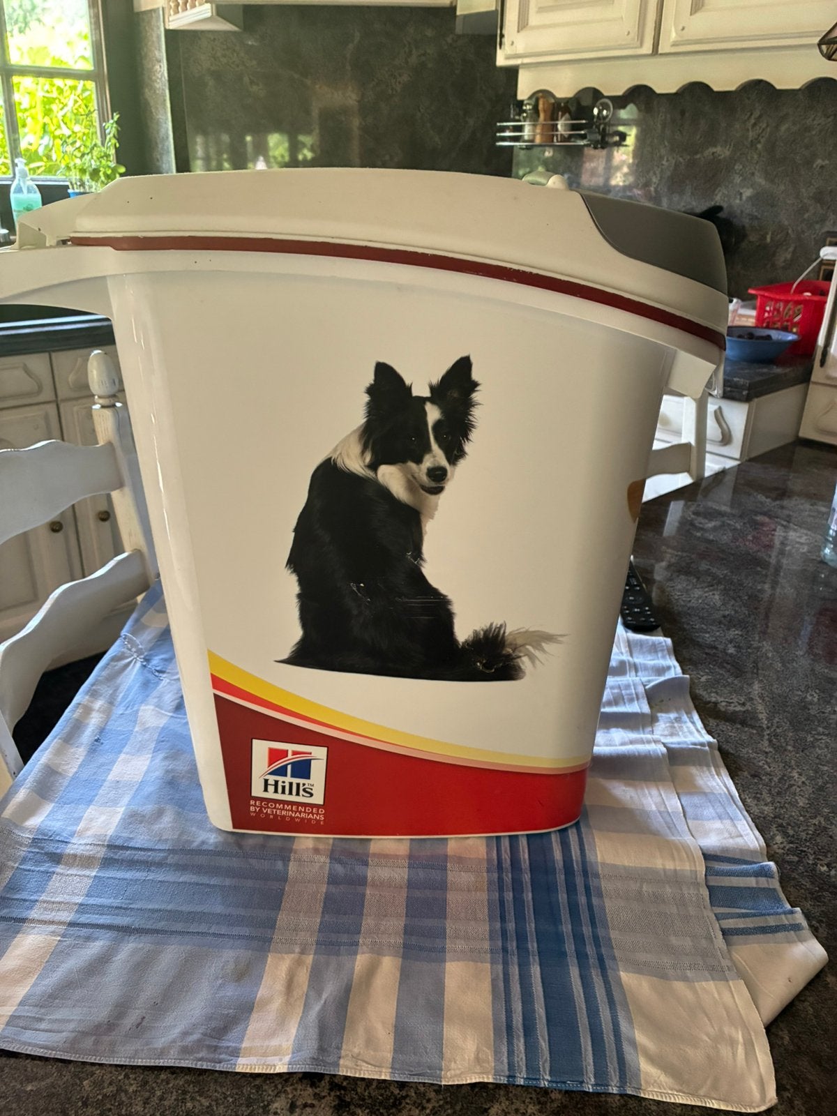 Pour chien, Enlèvement, Neuf