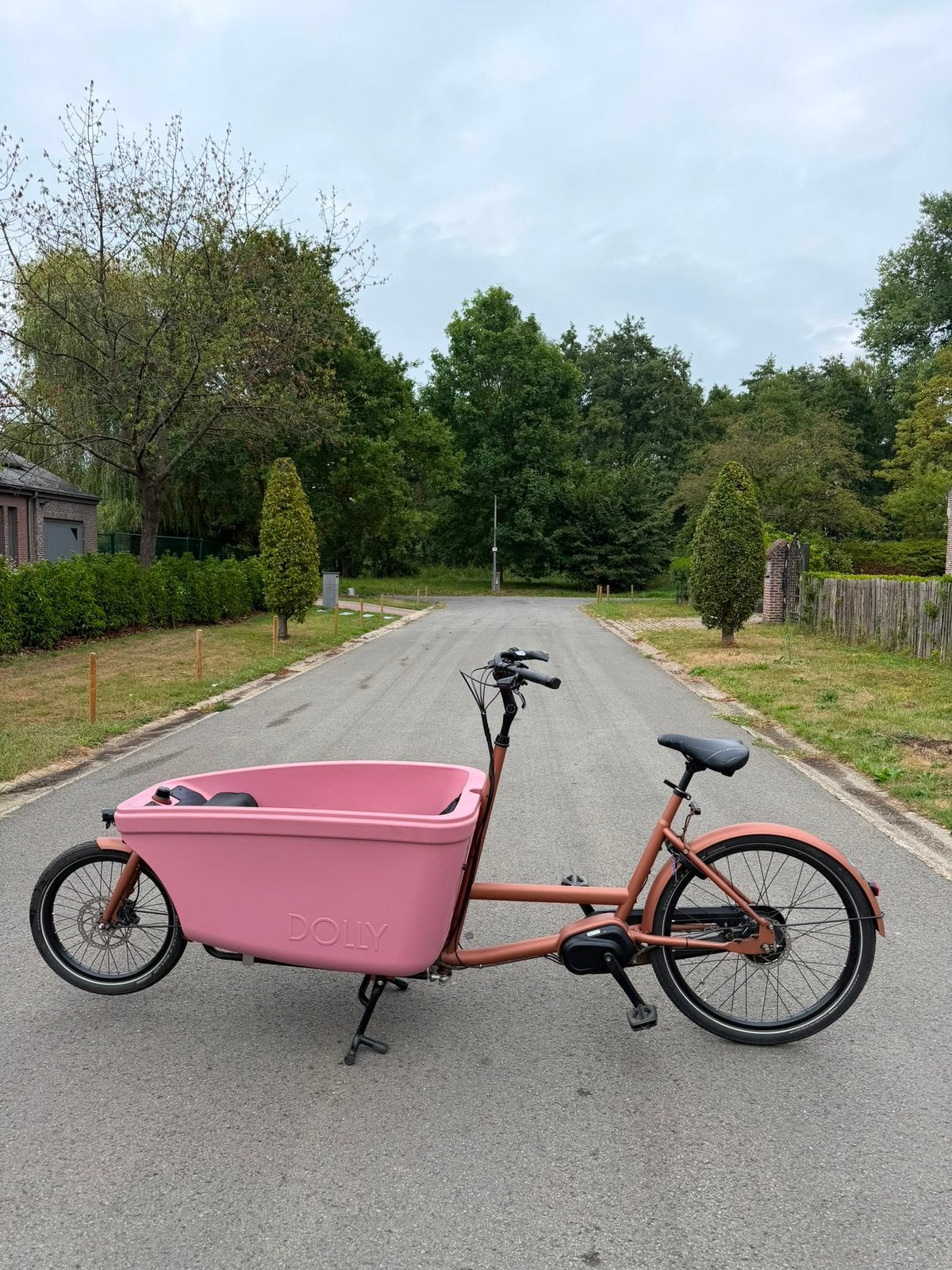 Bakfiets Dolly Family Edrive, Fietsen en Brommers, Fietsen | Bakfietsen, Ophalen, Zo goed als nieuw