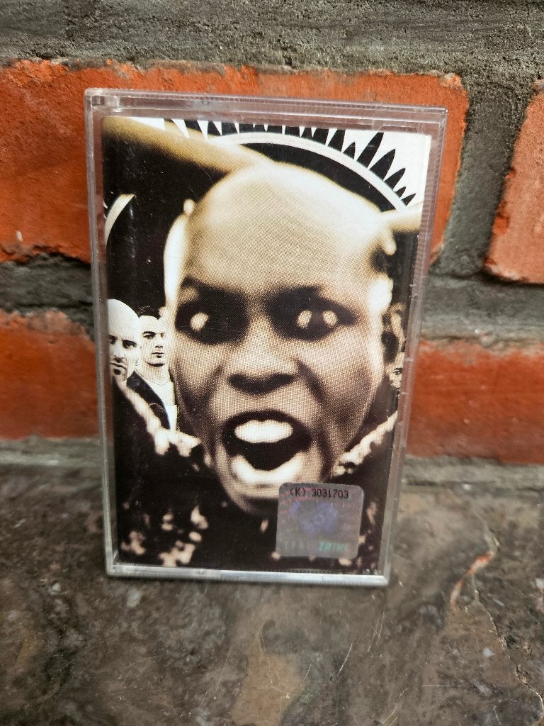Skunk Anansie – Stoosh cassette | alternative rock /, CD & DVD, Cassettes audio, Enlèvement ou Envoi