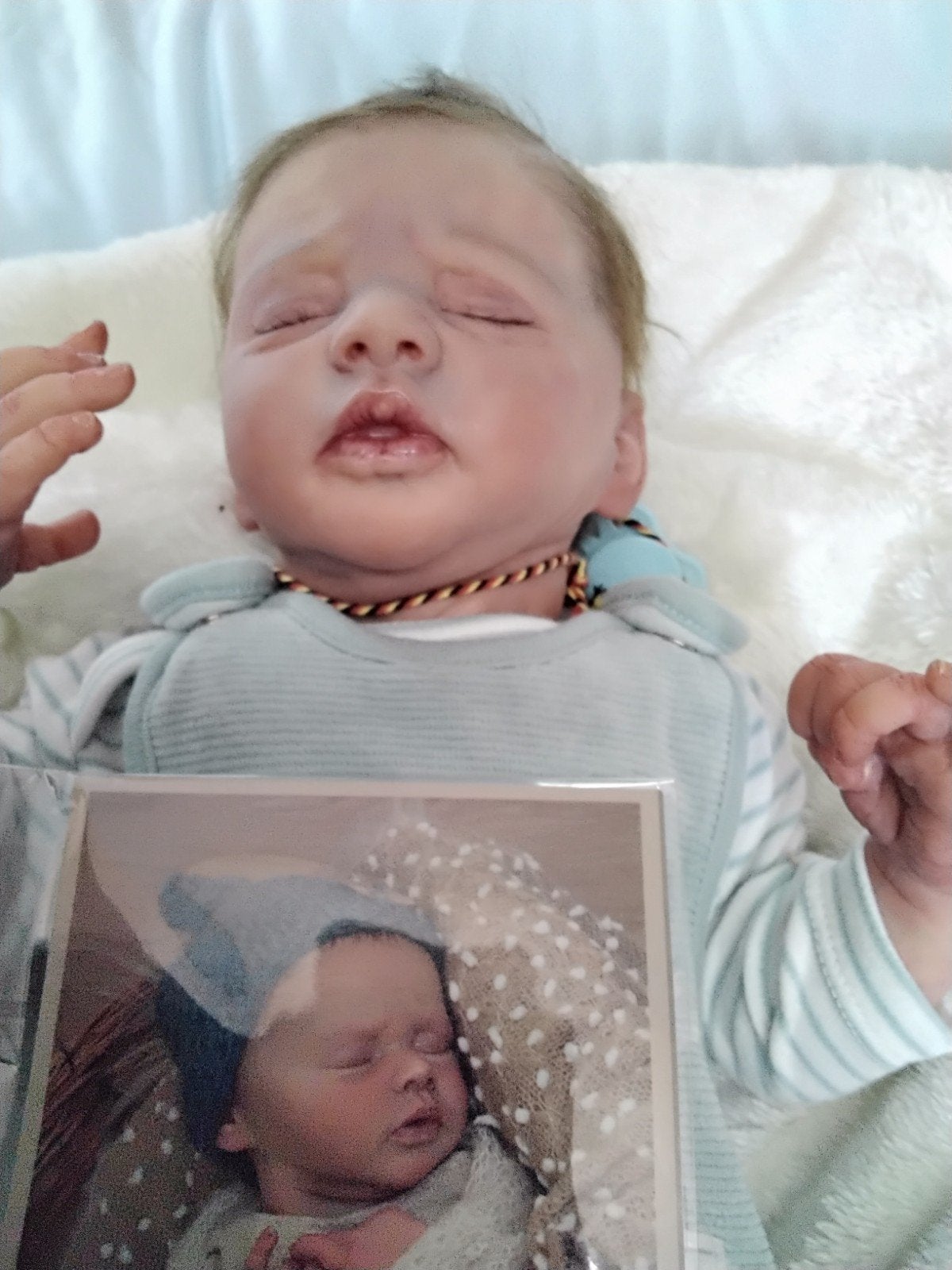 reborns met certificaten, Collections, Poupées, Enlèvement ou Envoi