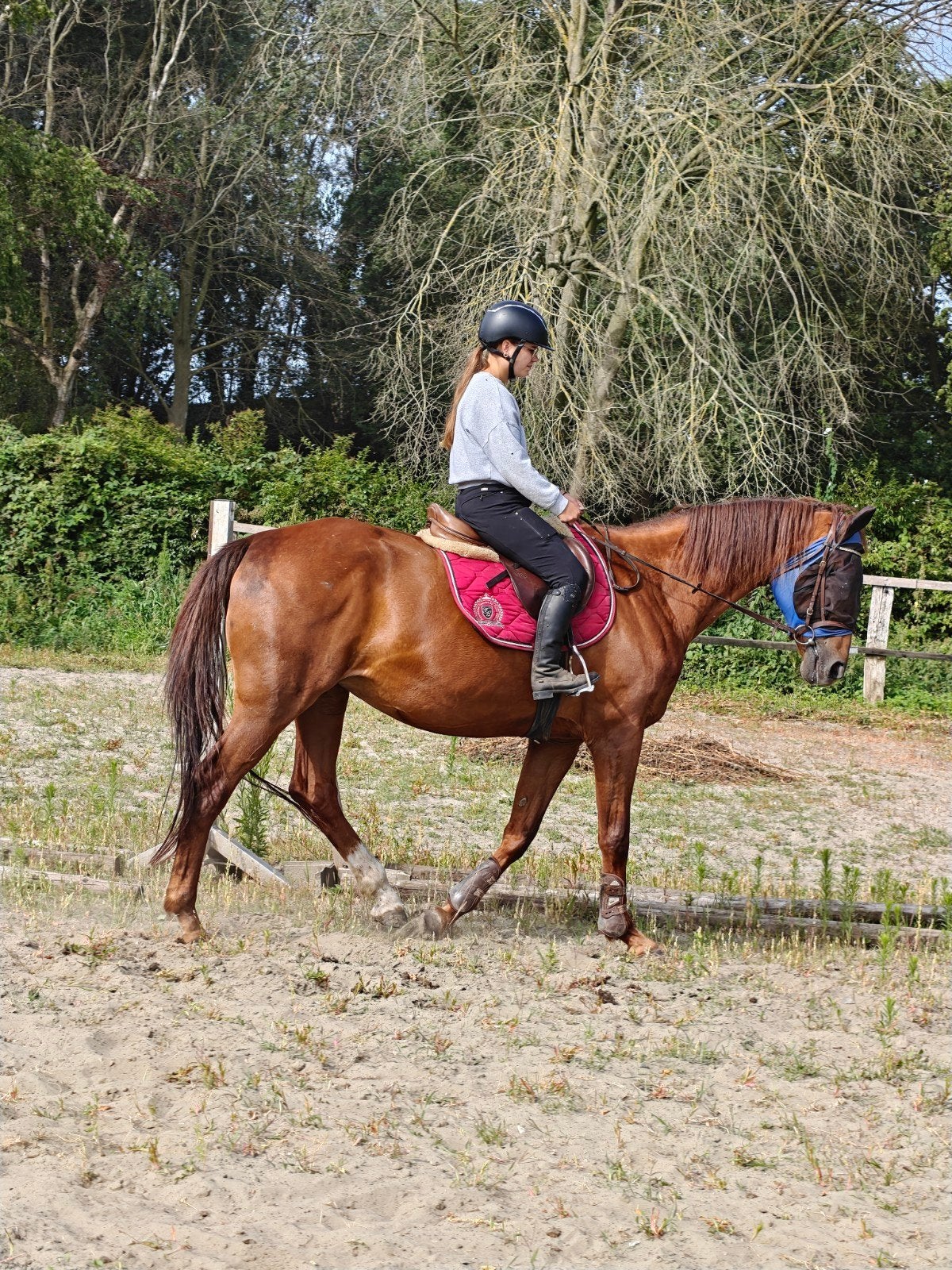 lieve merrie, Merrie