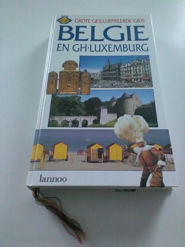 Geïllustreerde gids van België en Luxemburg, Boeken, Reisgidsen, Ophalen of Verzenden, Zo goed als nieuw