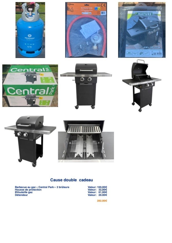 Faire offre, Jardin & Terrasse, Barbecues à gaz, Enlèvement, Neuf, Central Park