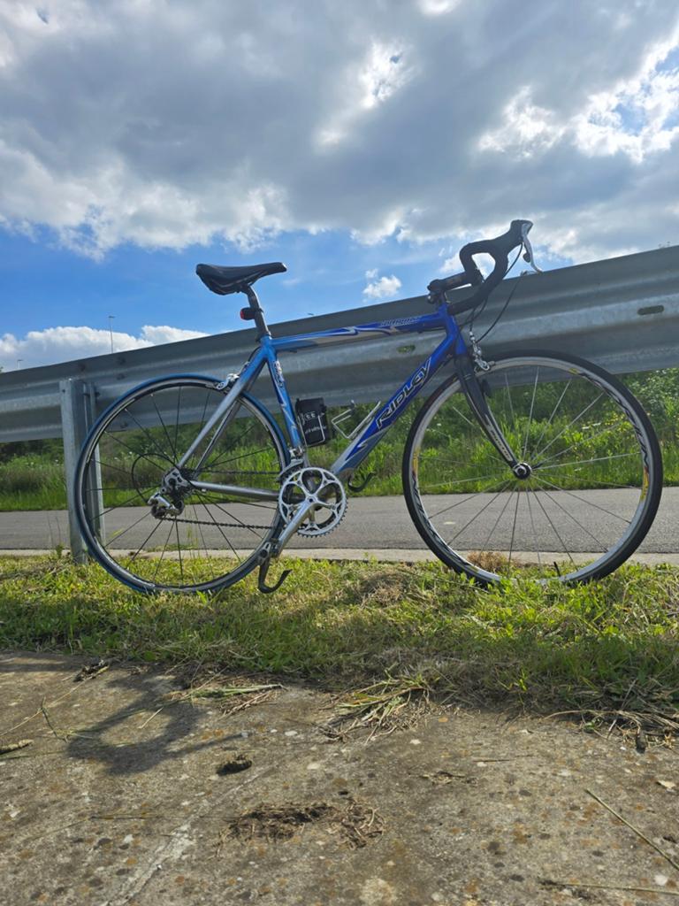 Iconische Merckx / Zomer racefiets – voor liefhebber, Ophalen of Verzenden