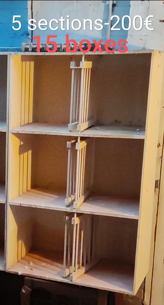 Nids de reproduction ou pour jeunes pigeons., Pigeon voyageur
