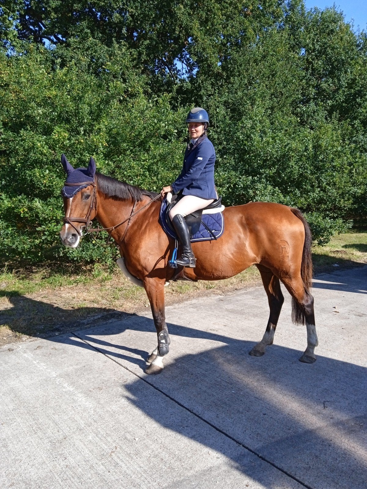 merrie, Dieren en Toebehoren, Paarden, Merrie, ZZ, Springpaard, Met stamboom
