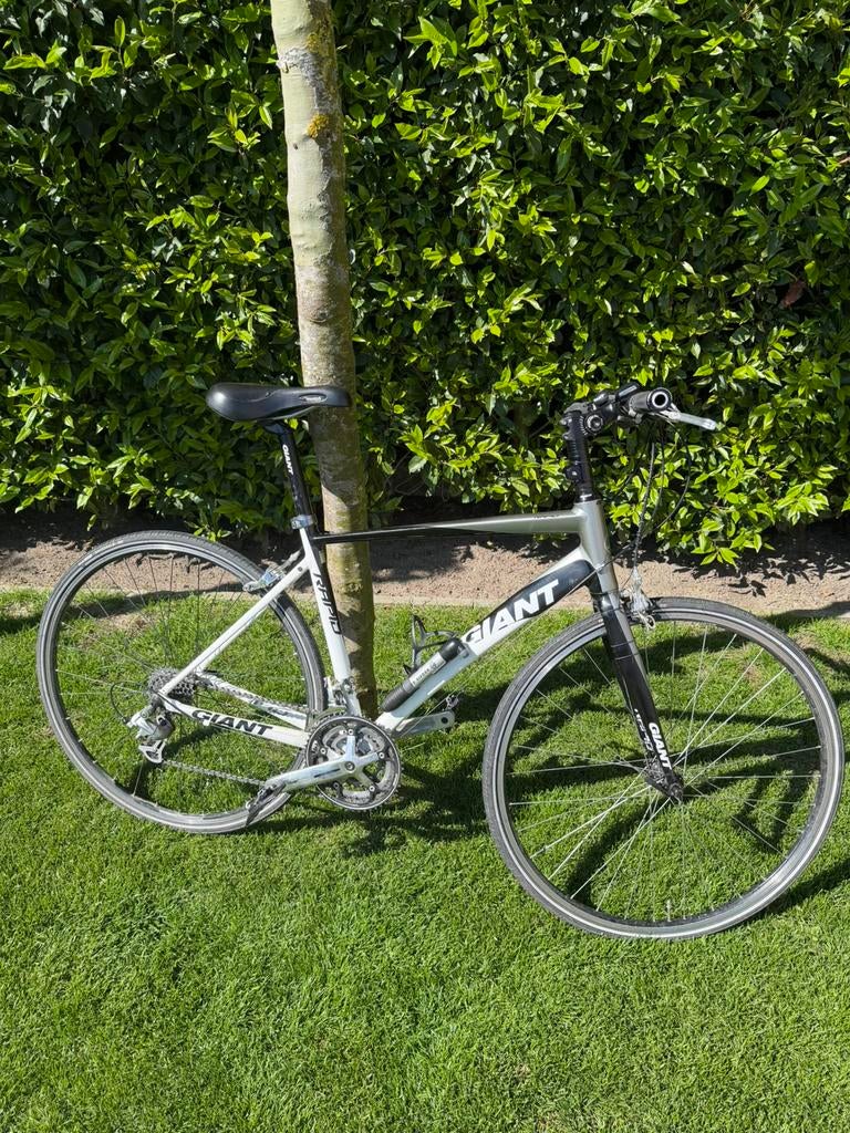 Giant Rapid, Fietsen en Brommers, Fietsen | Heren | Sportfietsen en Toerfietsen, Gebruikt, Giant, 15 tot 20 versnellingen, 28 inch