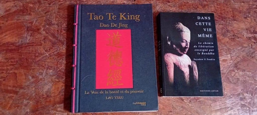 Set van 2 boeken - Taoïsme en boeddhisme, Ophalen of Verzenden, Zo goed als nieuw
