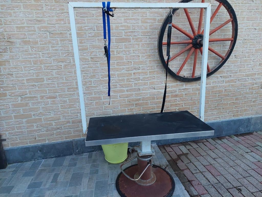 toilettage, Enlèvement