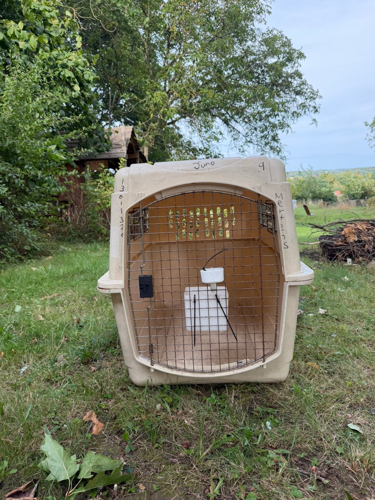 Petmate bench voor hond op vliegtuig, Ophalen, Zo goed als nieuw