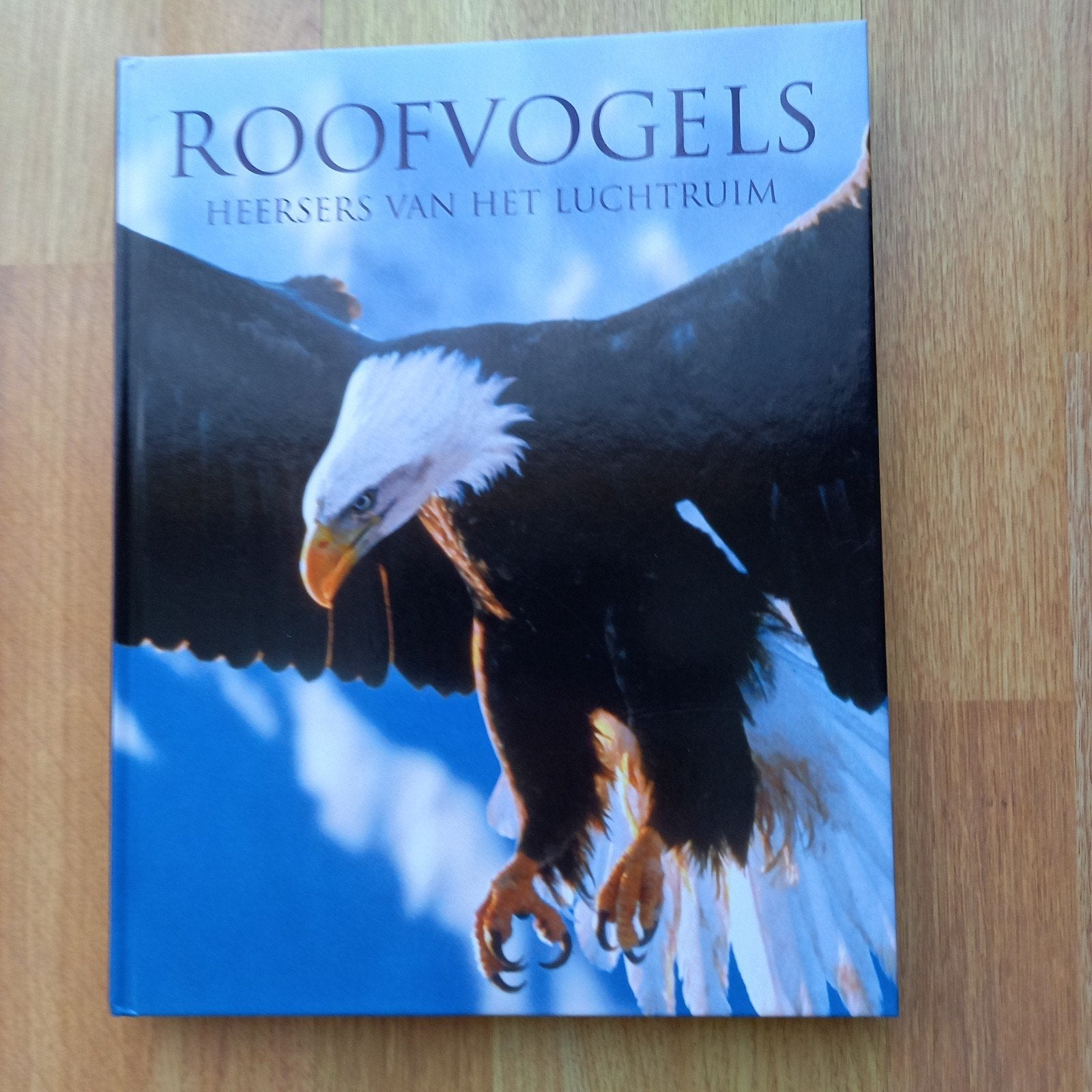 HEERSERS VAN HET LUCHTRUIM, Boeken, Ophalen of Verzenden