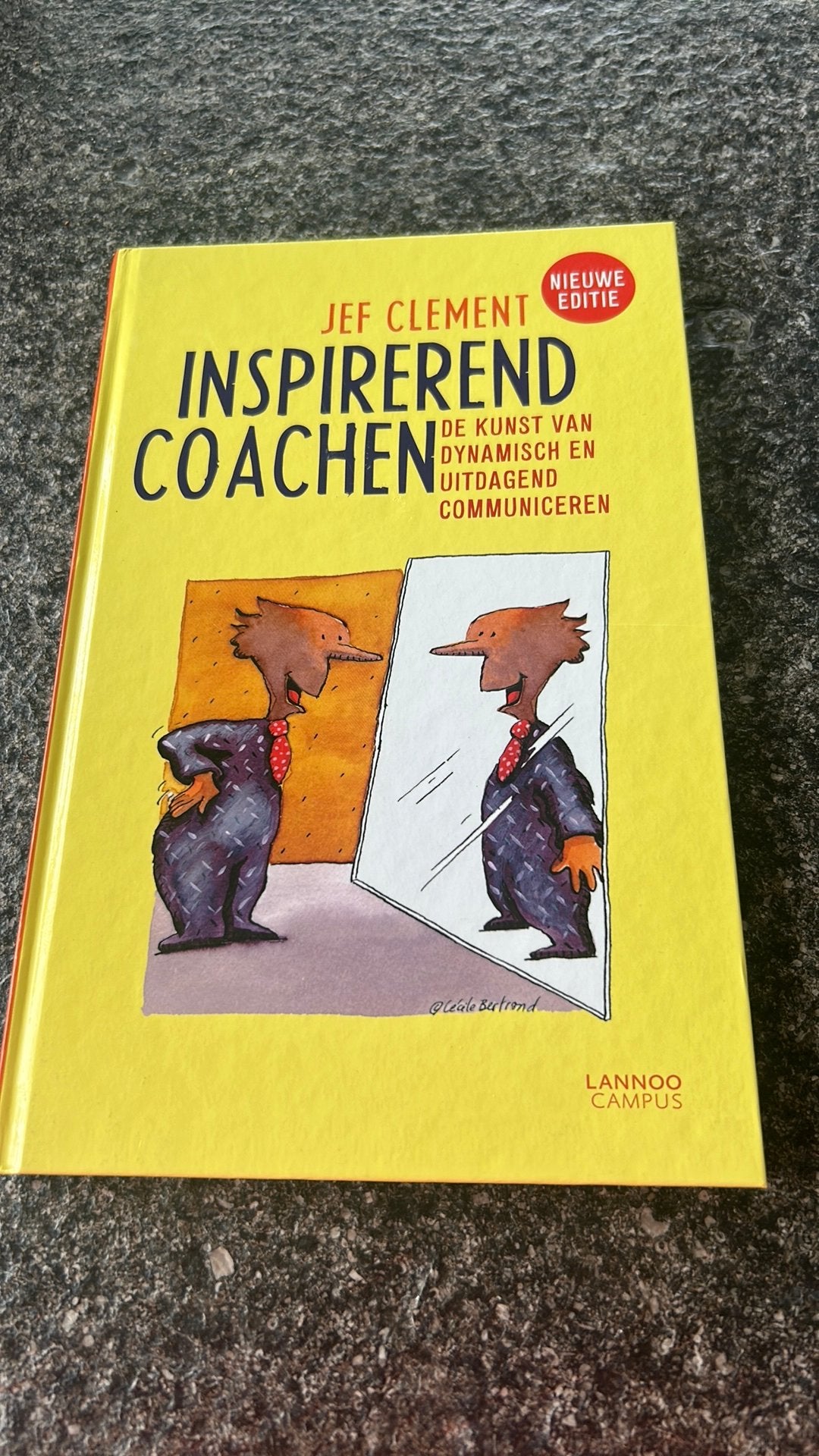 Jef Clement - Inspirerend coachen, Ophalen of Verzenden, Jef Clement