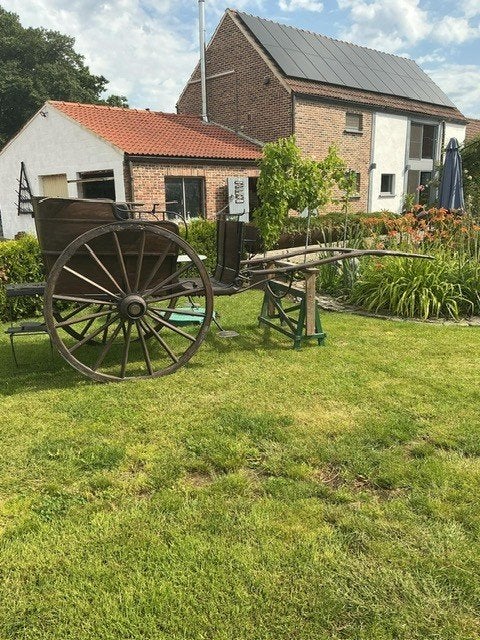 Tonneau koets te koop, Gebruikt, Wagonette, Paard of Pony