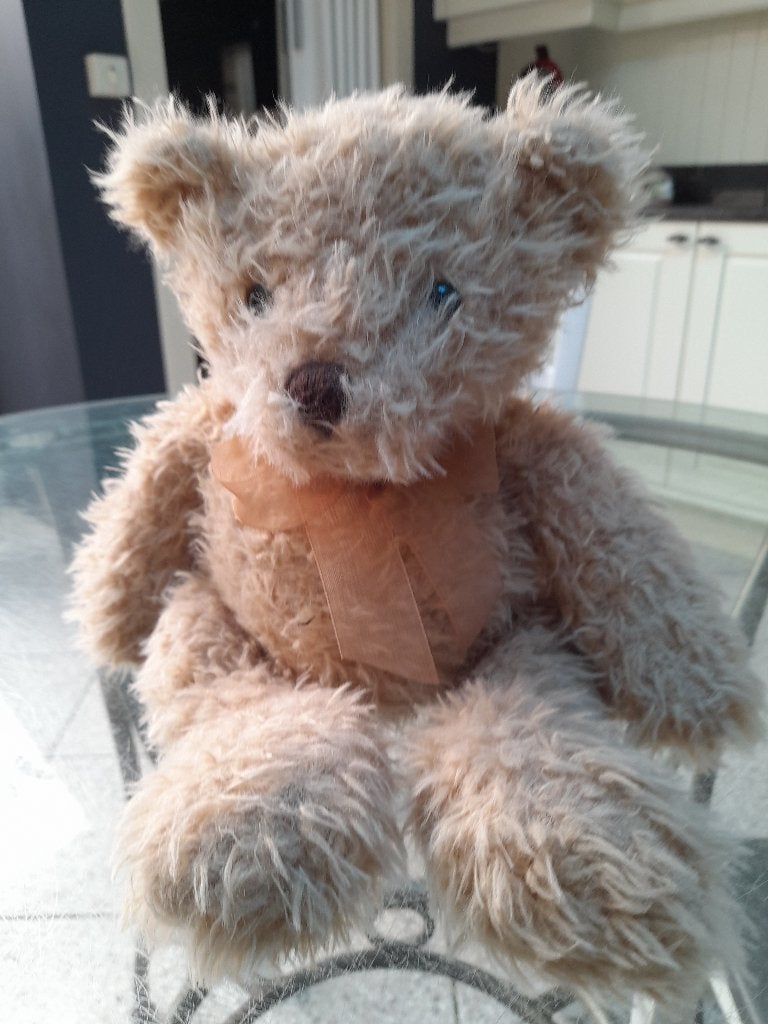 Teddybeer, Ophalen, Zo goed als nieuw, Stoffen beer, Overige merken