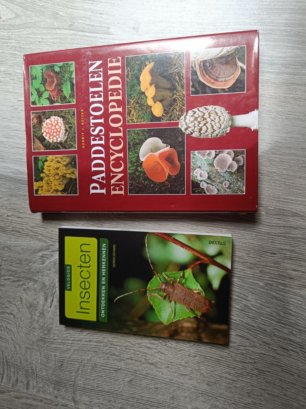 2 boeken over insecten en paddenstoelen, Ophalen