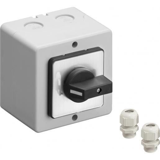Ster-driehoekschakelaar 25A 3P opbouw SD/16PLM+2xM20, Verzenden
