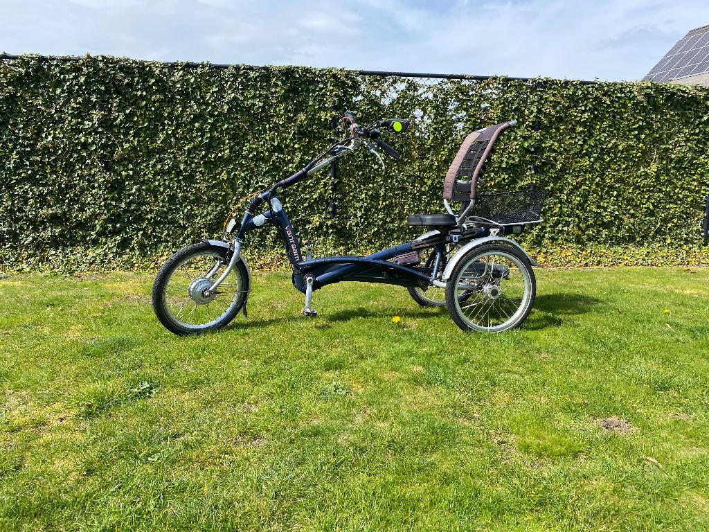 Van Raam Easy Ryder, Vélos & Vélomoteurs, Vélos | Tricycles, Utilisé, Enlèvement